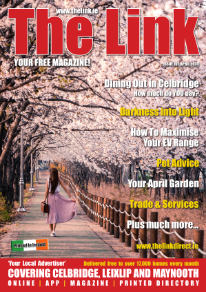 Your Local Link Magazine